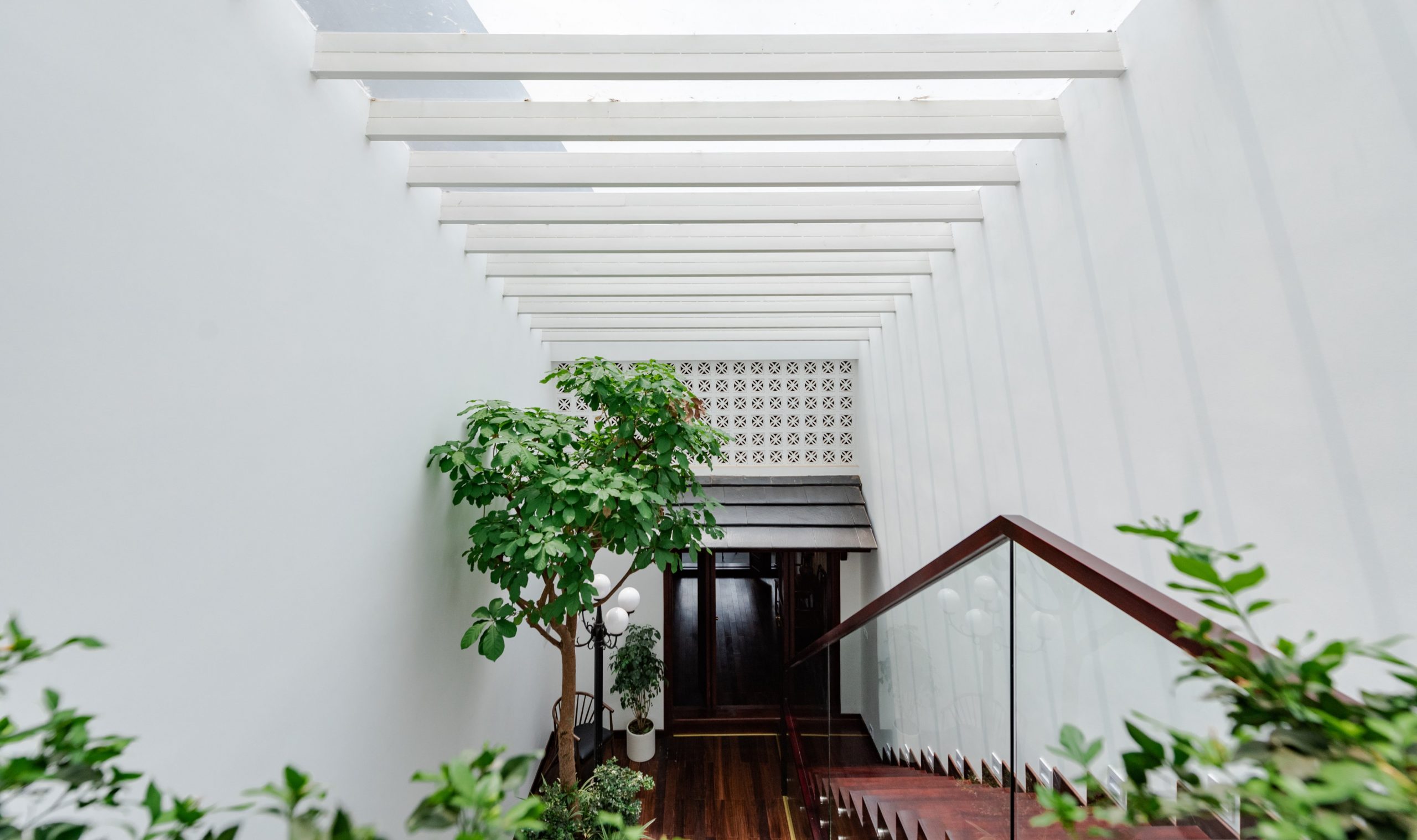Quynh House với giếng trời và cây xanh trong nhà giúp cho không khí thoáng mát và tràn ngập ánh sáng tự nhiên
